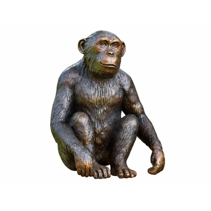 Chimpansée — BS1331B
