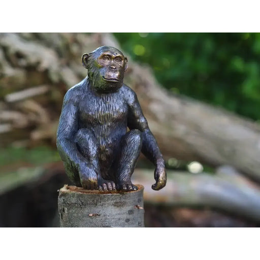Chimpansée — BS1331B