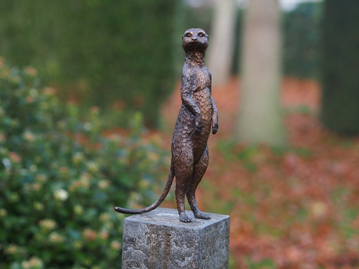 Suricate — BS1332B