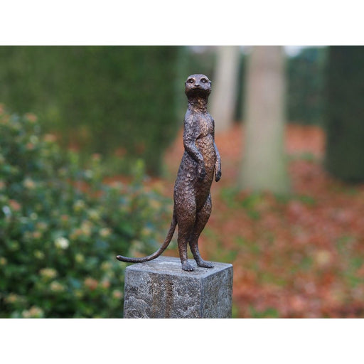 Suricate — BS1332B