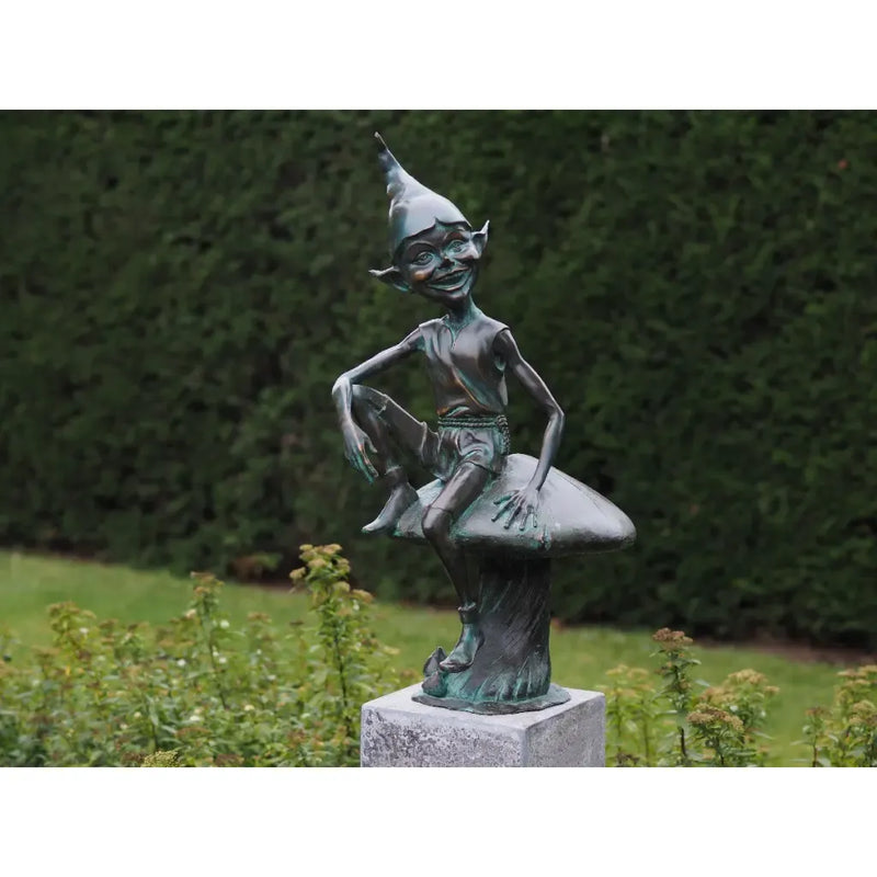 Pixie Sur Champignon — BS1337V
