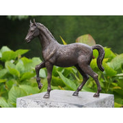 Cheval — BS1355B
