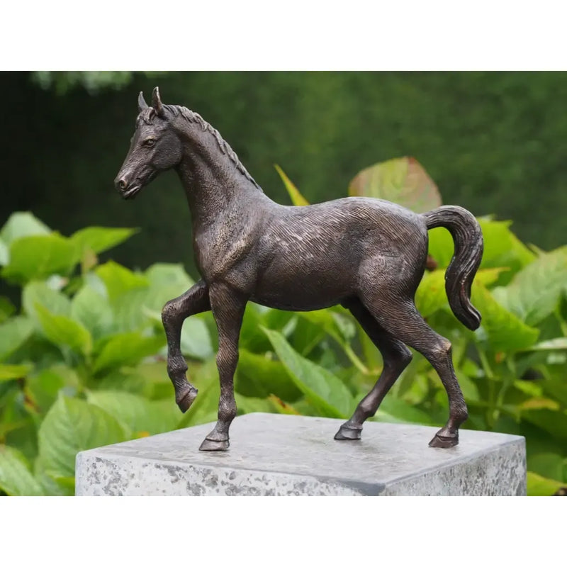Cheval — BS1355B