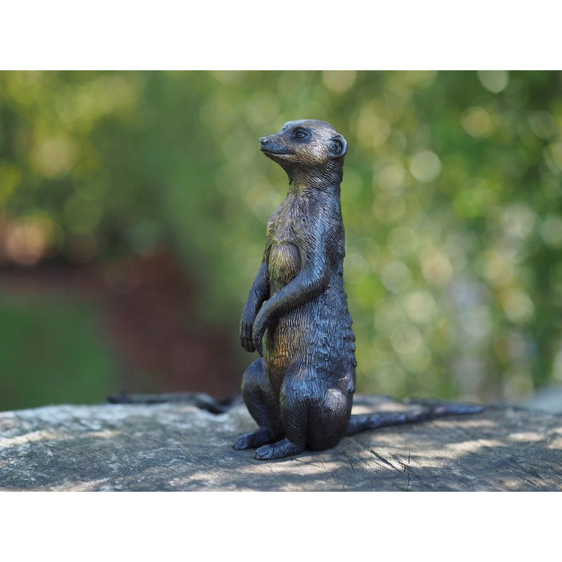 Suricate Assis — BS1379B