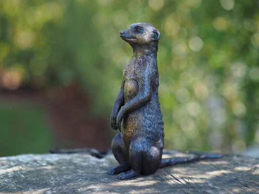 Suricate Assis — BS1379B