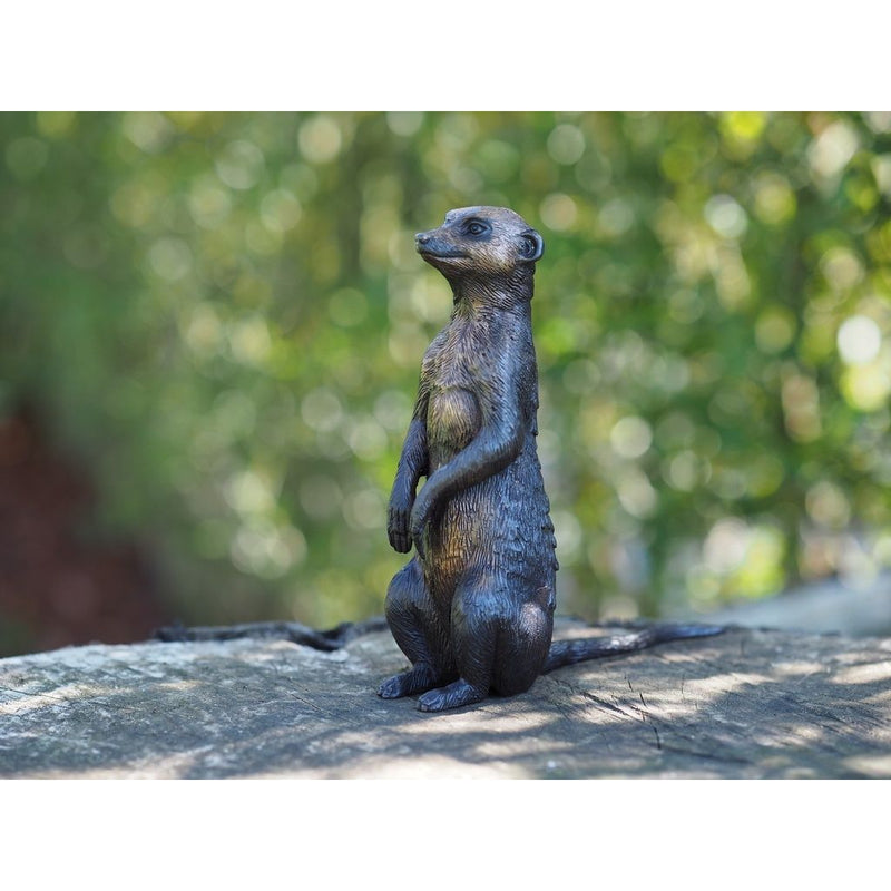 Suricate Assis — BS1379B
