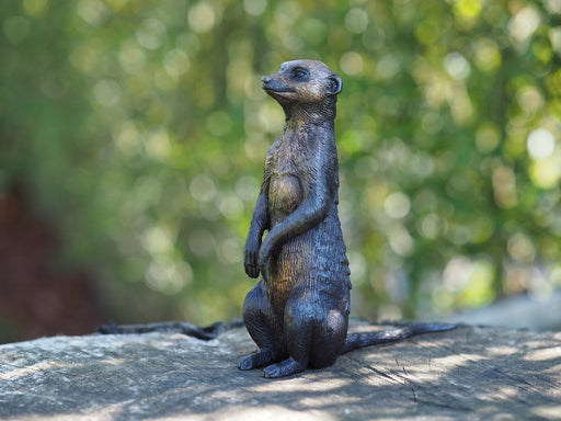 Suricate Assis — BS1379B