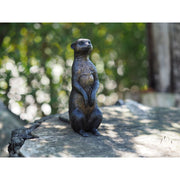 Suricate Assis — BS1379B
