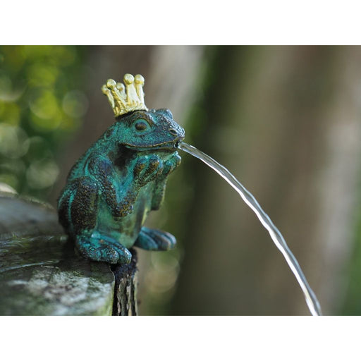 Grenouille — BS1383V-F