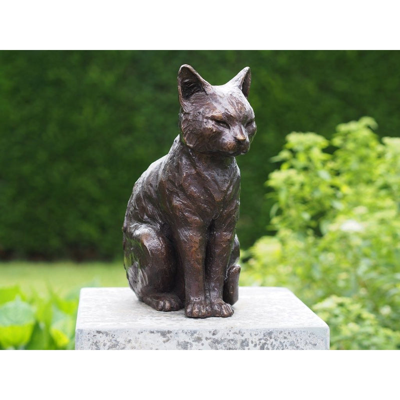 Chat — BS1402B