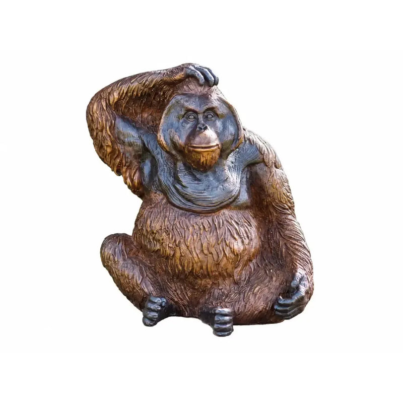 Orang-Outan — BS1411B