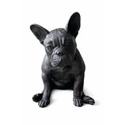 Bouledogue français — BS1412B