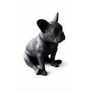 Bouledogue français — BS1412B