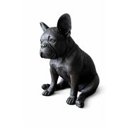Bouledogue français — BS1412B