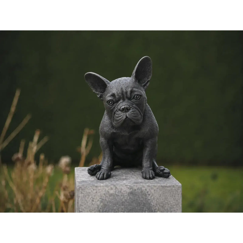 Bouledogue français — BS1412B