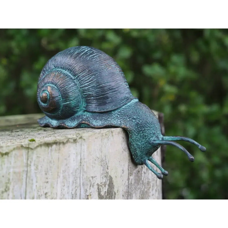 Escargot — BS1417V