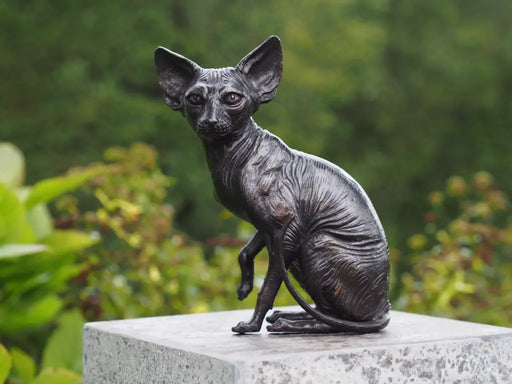 Sphynx Chat Assis — BS1418B