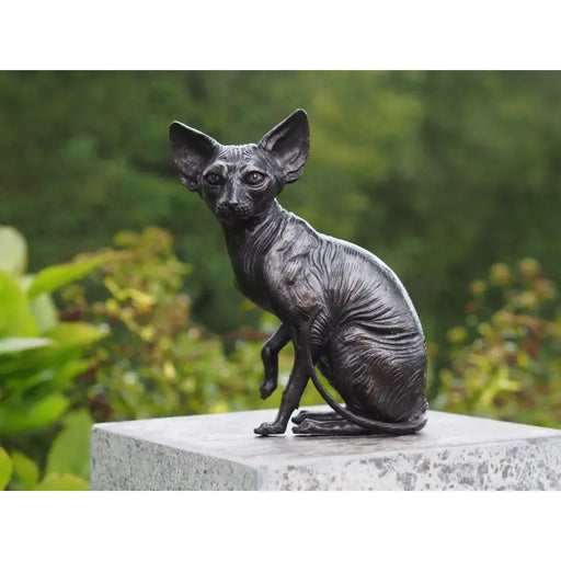 Sphynx Chat Assis — BS1418B