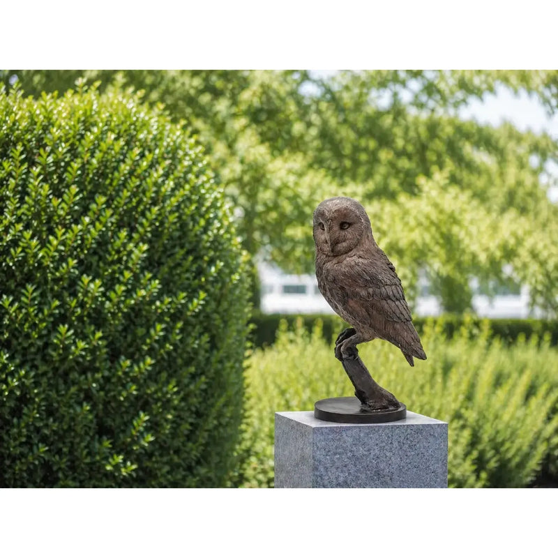 Chouette Sur L'Arbre — BS1428B