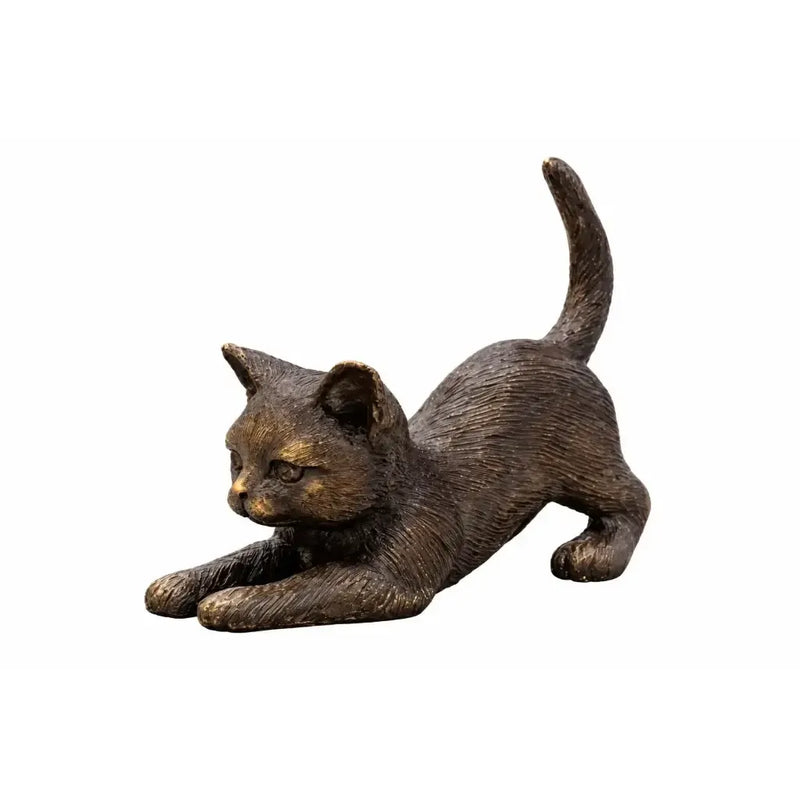 Chat Couchant — BS1429B