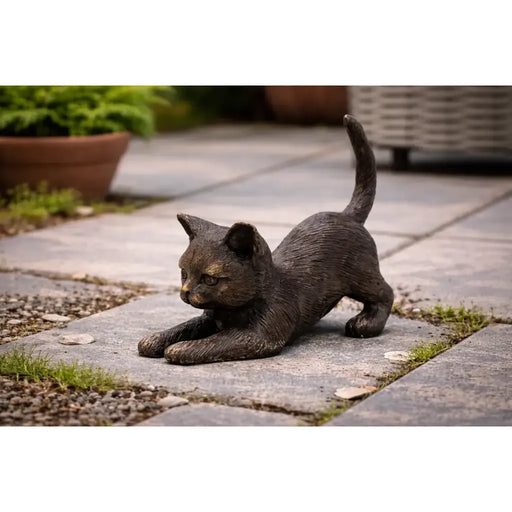 Chat Couchant — BS1429B