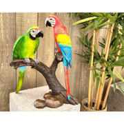 2 perroquets sur une branche — BS1436B