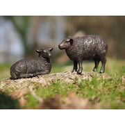 Mouton — BS1457B