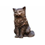 Chat Persan — BS1459B