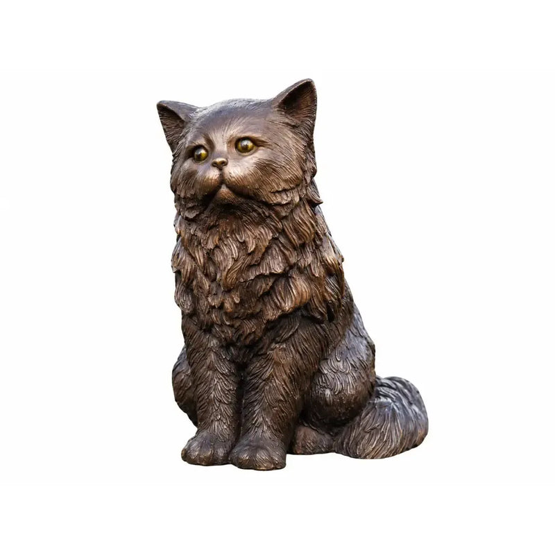 Chat Persan — BS1459B