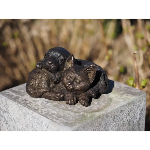 Chat et Chien — BS1472B
