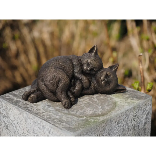 Un couple de chats — BS1473B