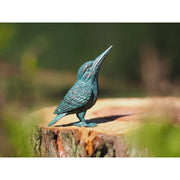 martin-pêcheur — BS1510B