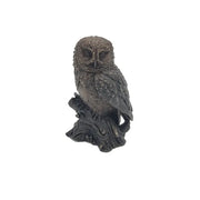 Hibou sur une souche d'arbre — BS1513B
