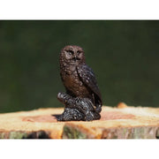 Hibou sur une souche d'arbre — BS1513B