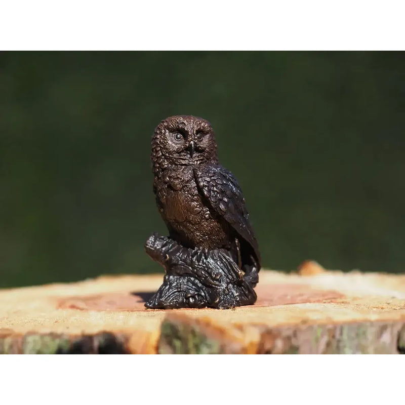 Hibou sur une souche d'arbre — BS1513B