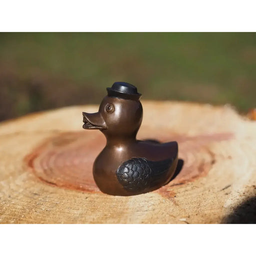Canard avec un chapeau — BS1514B