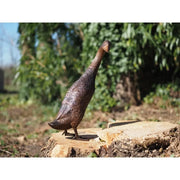 Canard debout — BS1517B