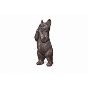 Chaton — BS1522B