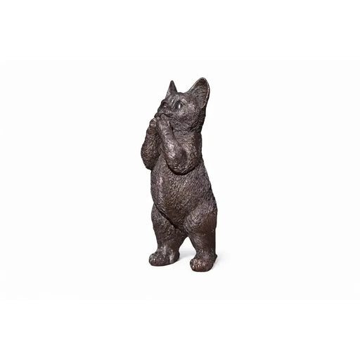 Chaton — BS1522B