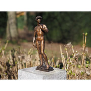 David de Michel-Ange 40cm — BS1529B