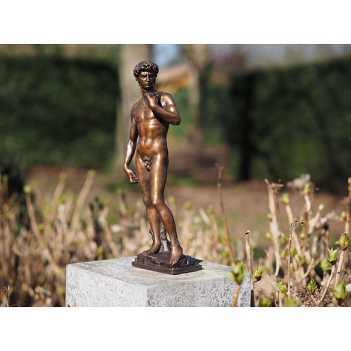David de Michel-Ange 30cm — BS1529B-S