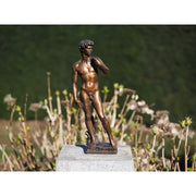 David de Michel-Ange 30cm — BS1529B-S