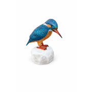 martin-pêcheur paint — BS1539C