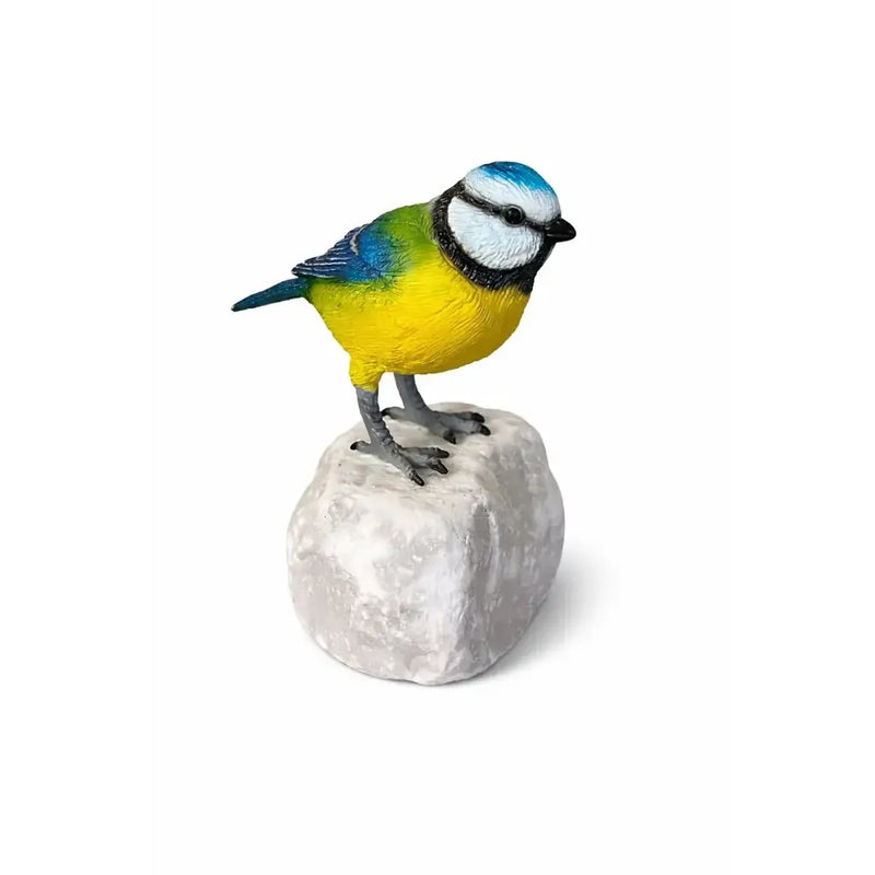 'wings in bronze' mésange bleue — BS1542C