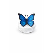 'wings in bronze' papillon bleu morpho — BS1545C