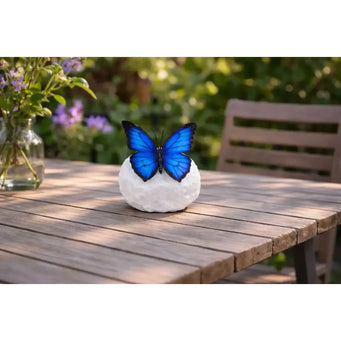 'wings in bronze' papillon bleu morpho — BS1545C