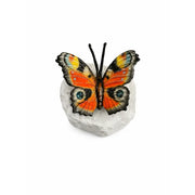'wings in bronze' paon-du-jour — BS1546C