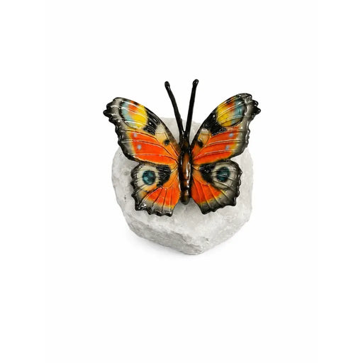 'wings in bronze' paon-du-jour — BS1546C