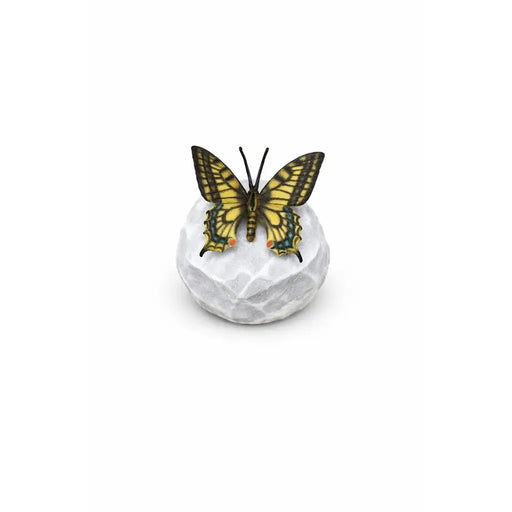 Papillon machaon « Wings in bronze » — BS1547C