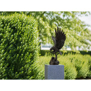 Aigle Avec Les Ailes Ouvertes — BS1550B